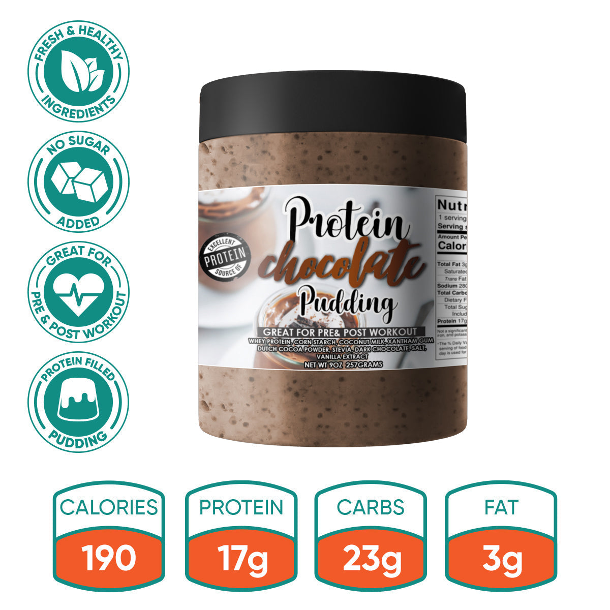 chocolate protein pudding